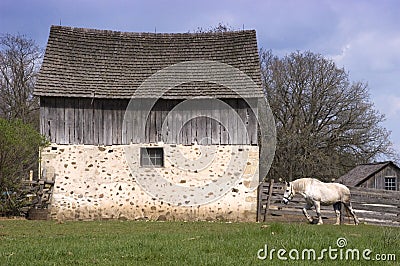 Farm Horse and Rustic Barn Stock Photo