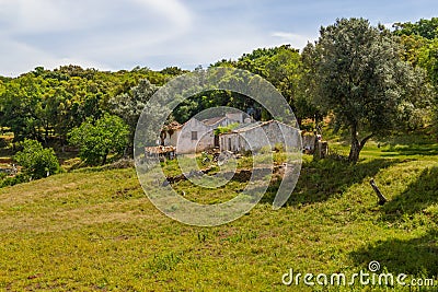 Farm house and cork tree in Santiago do Cacem Stock Photo