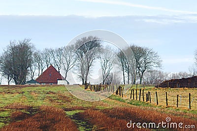 Farm house, field and trees at winter. Stock Photo