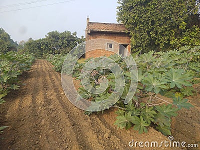 Farm house india Stock Photo