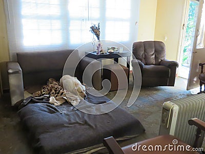 Farm House Indoor Photo of a lounge. Brown chairs, white blinds and stone floor Stock Photo