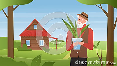 Farm house summer landscape, cartoon old farmer man character holding green houseplant in pot Vector Illustration