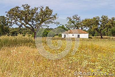 Farm house and trees in Vale Seco, Santiago do Cacem Stock Photo