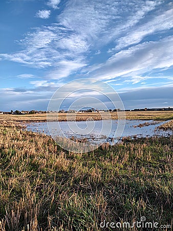 Farm land by our house as the sun was going down Stock Photo