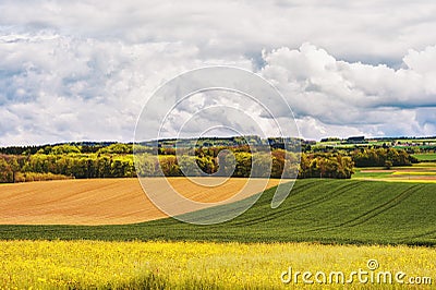 Farm land in spring Stock Photo