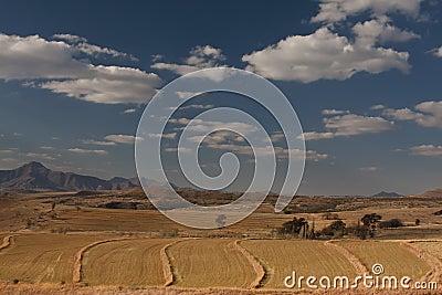 Farm landscape with blue sky Stock Photo