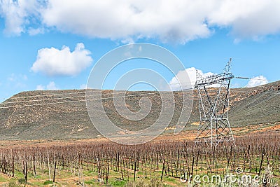 Espalier fruit trees and electricity infrastructure Stock Photo