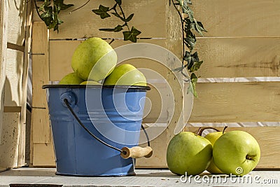 APPLE IN BUCKET WOOD BACKGROUND Stock Photo