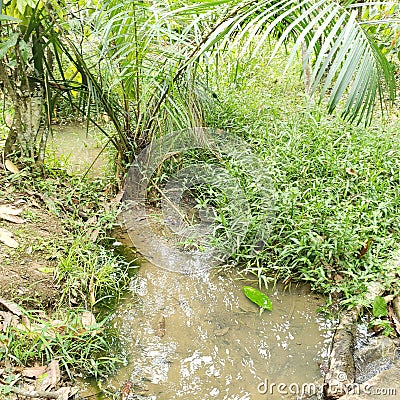 Farm path river Stock Photo