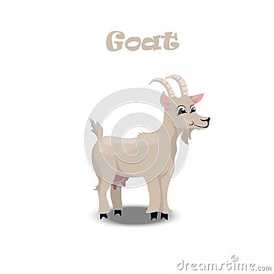 Farm pet goat Vector Illustration