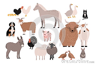 Farm pets colorful collection. Cute domestic animals set. Hand drawn vector illustration on white background. Vector Illustration