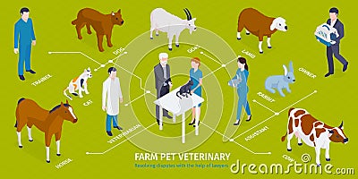 Farm Pets Veterinary Infographics Vector Illustration
