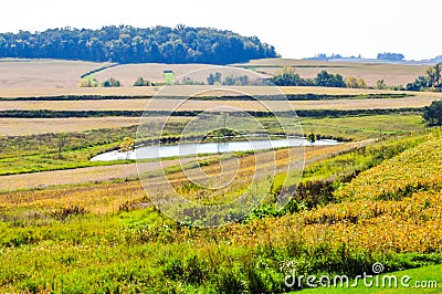 Farm Pond In Country Stock Photo