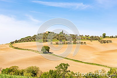 Farm road in a new sown field in Italy Stock Photo