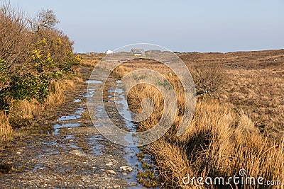 Farm road, Vegetation and houses around Clifden bay Stock Photo