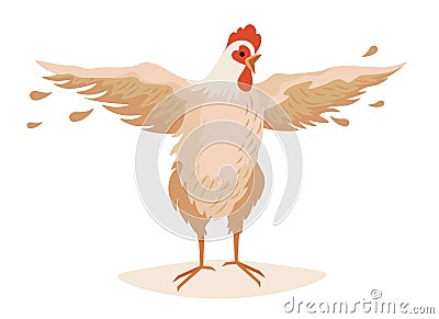 Farm Rooster Flap Wings with Feathers Flying around. Poultry Farm Male Bird, Cock or Cockerel Domestic Farmyard Fowl Vector Illustration