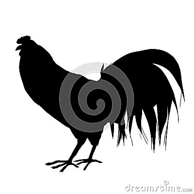 Farm rooster silhouette Vector Illustration