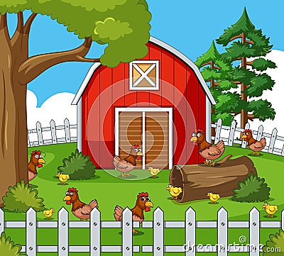 Farm scene with many hens and chicks Vector Illustration