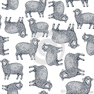 Farm sheep seamless pattern. Vintage style background. Vector Illustration