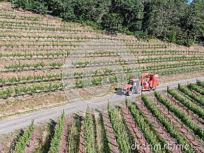 Farm tractor spraying pesticides & insecticides herbicides over green vineyard field Editorial Stock Photo