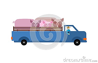 Farm truck with pigs. Farmer is carrying cattle in truck Vector Illustration