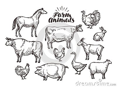 Farm, vector sketch. Collection animals such as horse, cow, bull, sheep, pig, rooster, chicken, hen, goose, rabbit Vector Illustration