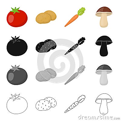 Farm, vegetarian, diet and other web icon in cartoon style.Vitamins, lettuce, vegetableicons in set collection. Vector Illustration