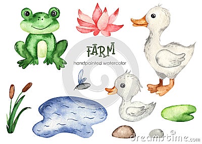 Farm watercolor set with frog, goose, baby goose, pond, reeds, water lily Stock Photo