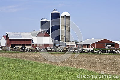 Farm in Wisconsin Stock Photo