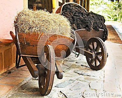 Farm Wooden Wheelbarrows Stock Photo