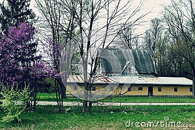 Farm with Yellow Outbuilding Stock Photo