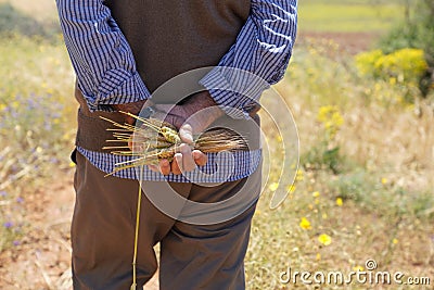 Farmer or agriculturist man holding some wheat ears Stock Photo