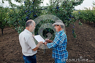 Farmer and agronomist. Senior farmer signs contract to sell plum fruit. Stock Photo