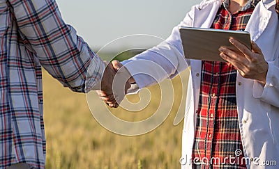 Farmer and agronomist shaking hands in field Stock Photo