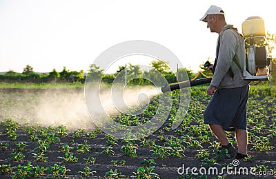 A farmer with a backpack spray treats the plantation with pesticides. Protection of plants from insects and fungal infections. Stock Photo