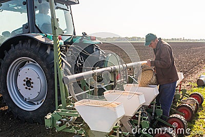 Farmer with can pouring soy seed for sowing crops at agricultural field in spring Stock Photo