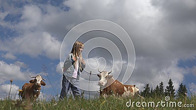 Farmer Child Pasturing Cows, Cowherd Kid with Cattle on Meadow Girl in Mountains Stock Photo