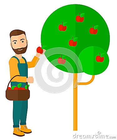 Farmer collecting apples Vector Illustration