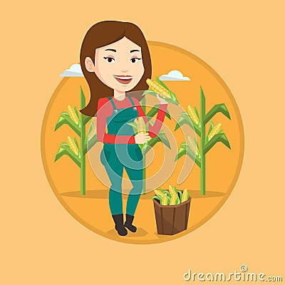 Farmer collecting corn vector illustration. Vector Illustration