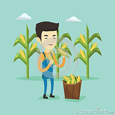 Farmer collecting corn vector illustration. Vector Illustration