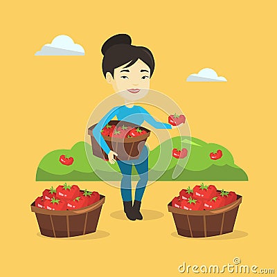 Farmer collecting tomatos vector illustration. Vector Illustration