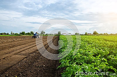 A farmer cultivates the soil on the site of an already harvested potato. Milling soil, crushing before cutting rows. Farming Stock Photo