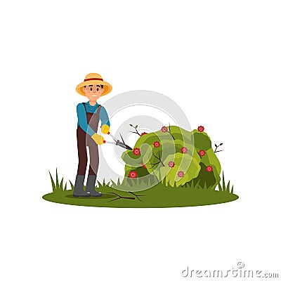 Farmer cuts dry branches on green bush with flowers. Young guy working in garden. Flat vector design Vector Illustration