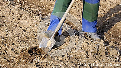 farmer digging soil by shovel Stock Photo