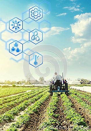 A farmer drives a tractor across potato plantation field and hexagons with innovations. Science of agronomy. Improvement in Stock Photo