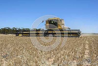 A combine harvester reaping a wheat crop in Australia. Editorial Stock Photo