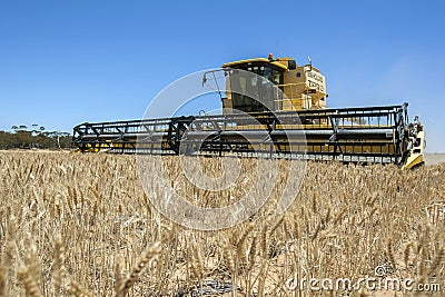 A combine harvester reaping a wheat crop in Australia. Editorial Stock Photo