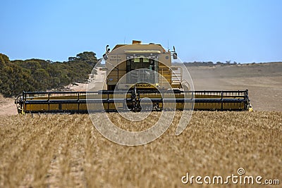 A combine harvester reaping a wheat crop in Australia. Editorial Stock Photo