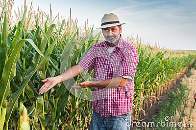 Farmer Stock Photo