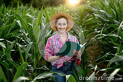 Farmer with a folder stands in a corn field and checks the growth of vegetables. Agriculture - food production, harvest concept Stock Photo